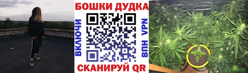Где можно купить наркотики Рыбное ГАШИШ Псилоцибиновые грибы Меф СК Каннабис Бутират Кокаин