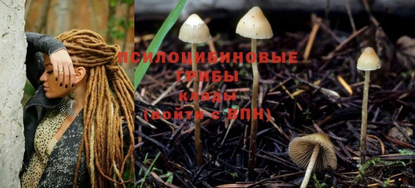 молекула духа Горняк