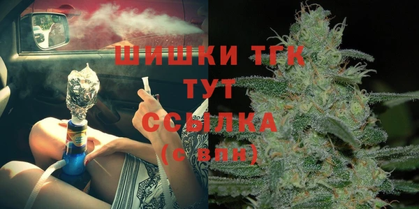 винт Горно-Алтайск