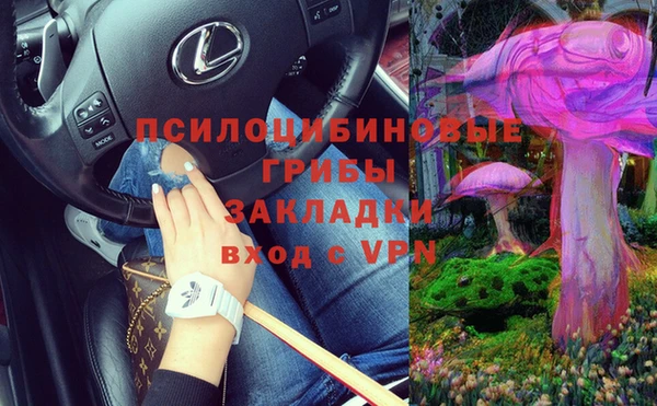 винт Горно-Алтайск