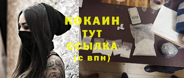 молекула духа Горняк