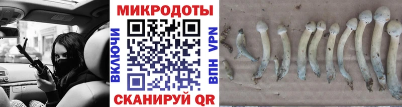 Псилоцибиновые грибы MAGIC MUSHROOMS как найти закладки Рыбное